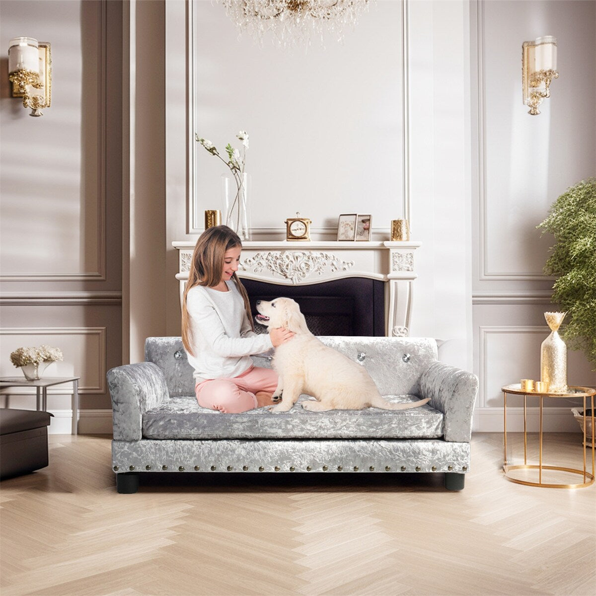 Couchon pour animal de compagnie en velours capitonné, recouvert de velours et doté d'un coussin amovible.