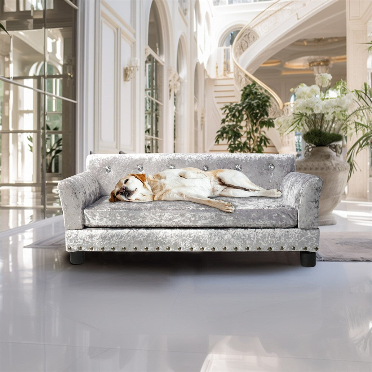 Couchon pour animal de compagnie en velours capitonné, recouvert de velours et doté d'un coussin amovible.