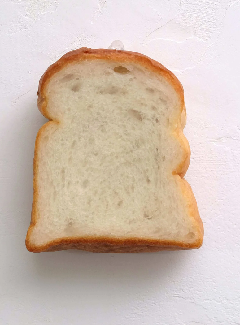 Lampe LED de type toast Pampshade