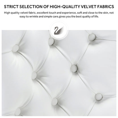 Lot de 6 chaises de salle à manger en velours capitonné avec pieds en bois massif.