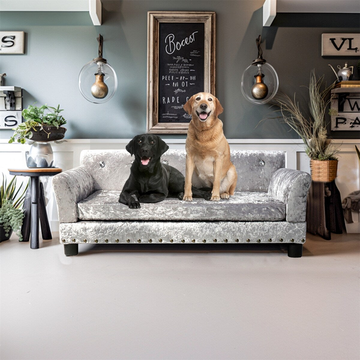 Couchon pour animal de compagnie en velours capitonné, recouvert de velours et doté d'un coussin amovible.